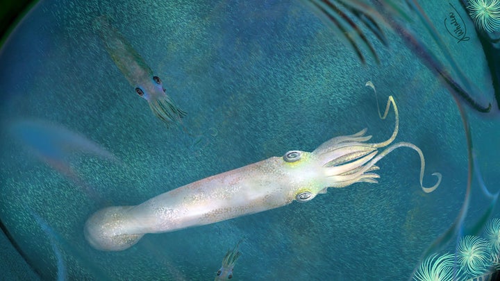 An artist's rendering of Syllipsimopodi bideni published in a press release from the American Museum of Natural History.