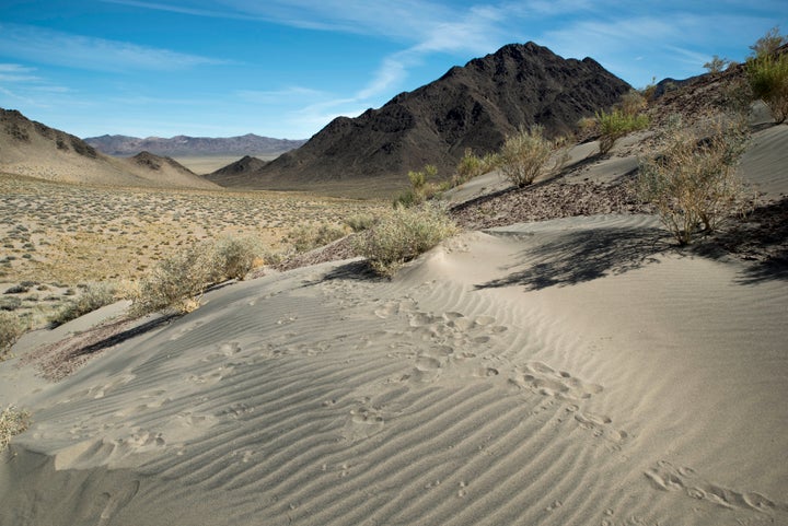 Fissure Ridge, located east of the Walker River Indian Reservation, is one of many mountains and mountain ranges that area tribes are looking to protect with a new monument designation.