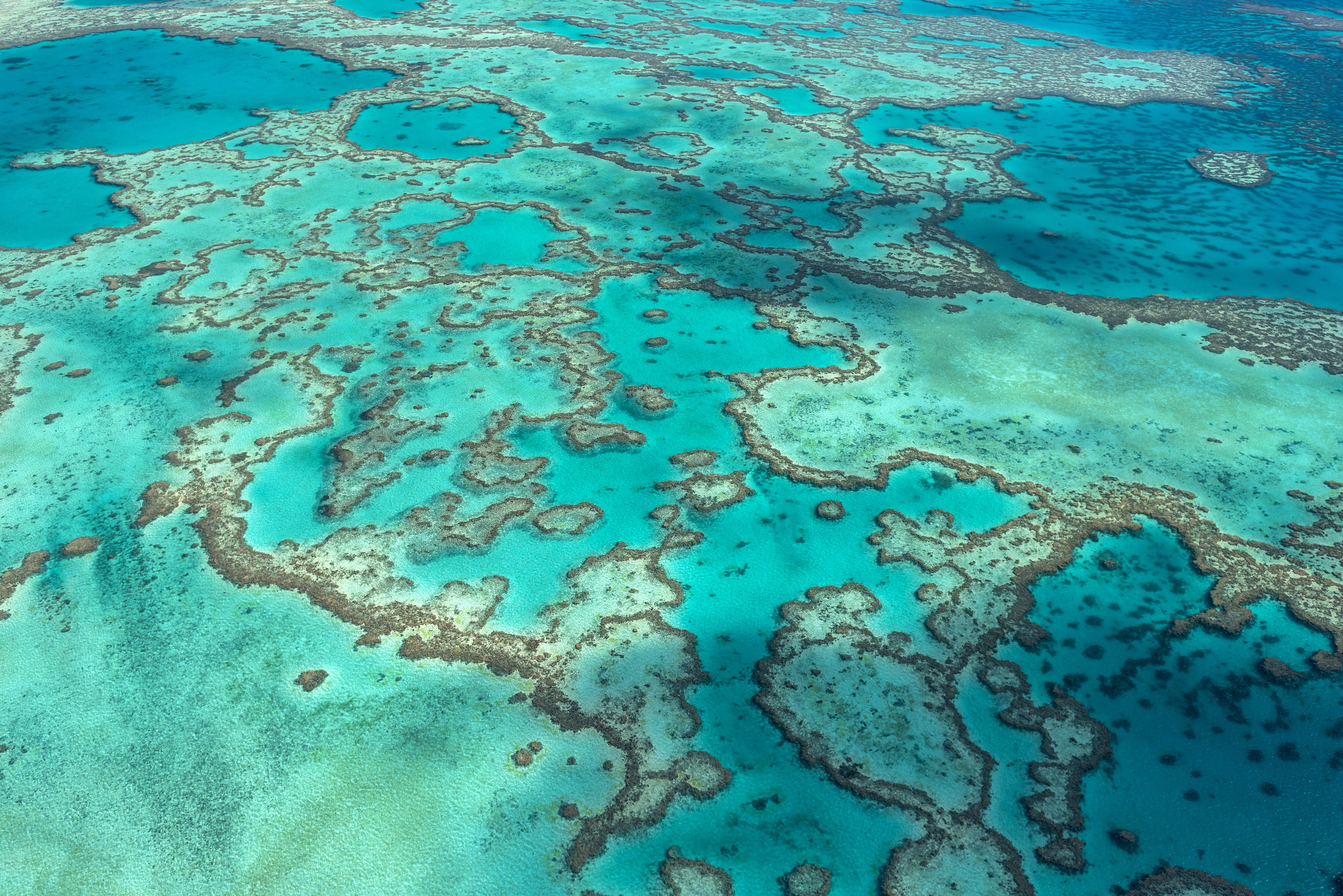 Great Barrier Reef Hit With ‘Grim’ Sixth Mass Bleaching Event ...