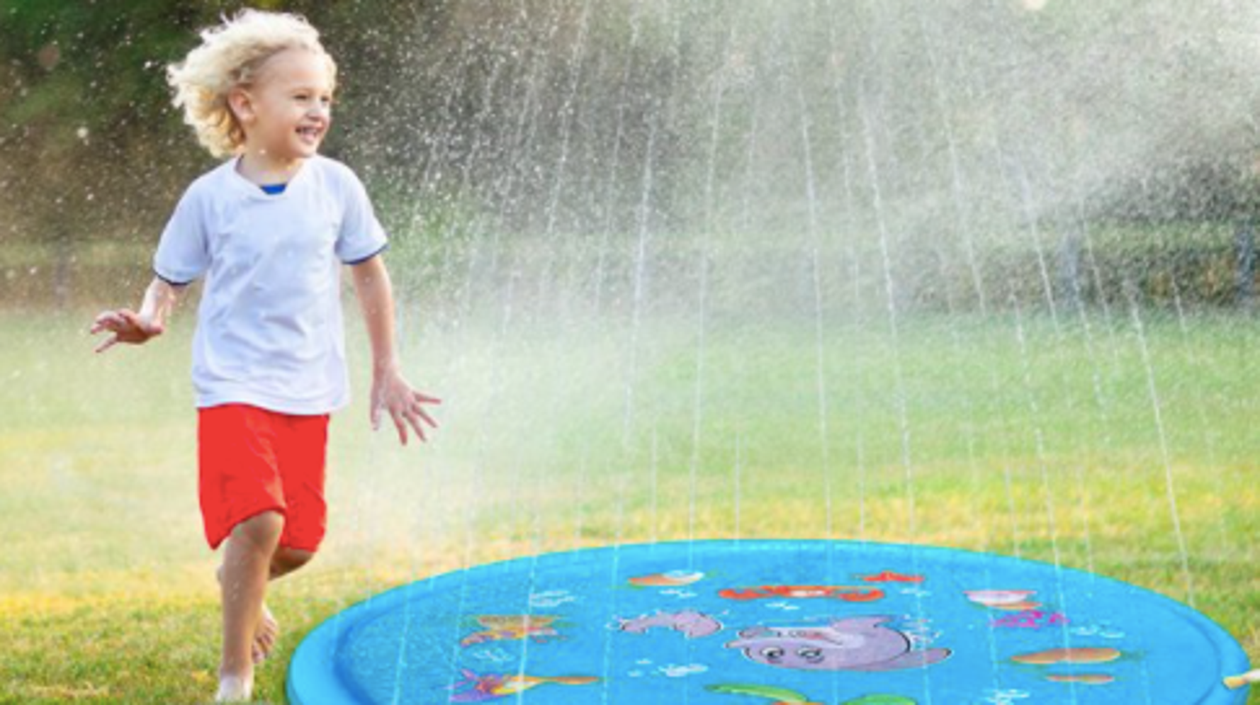 The Best Backyard Play Equipment To Create A Wonderland For Kids