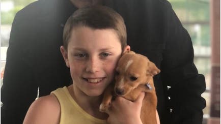 Avzn9fulrll52m Avzn9fulrll52m