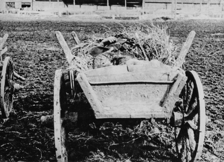 To πτώμα ενός θύματος του ανθρωπογενούς λιμού του Holodomor που κείτεται σε ένα καρότσι σανού στην Ουκρανία, πρώην Σοβιετική Ένωση, 1934. (Φωτογραφία από Daily Express/Hulton Archive/Getty Images)