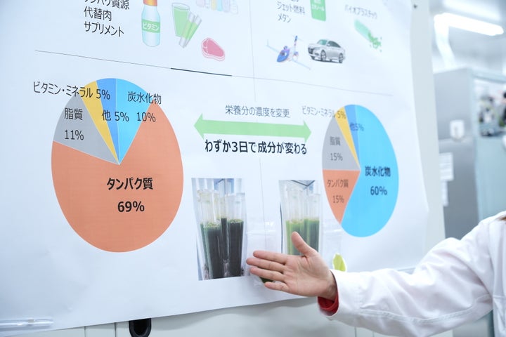 藻は代替肉などタンパク源になったり、薬になったり、バイオ燃料、バイオプラスチックの原料になったりするなど、幅広い活用法があるという