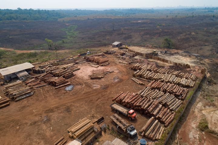 Logs are stacked at a lumber mill surrounded by recently charred and deforested fields near Porto Velho, Rondônia state, Brazil, in September 2019.