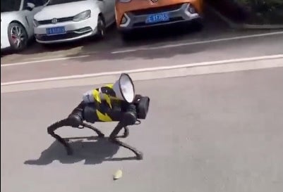 話題になった犬型ロボット(ウェイボーより)