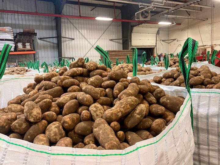 In this photo provided Jay LaJoie, russet potatoes produced by Maine growers are packaged to be loaded on a rail car headed for Washington State.