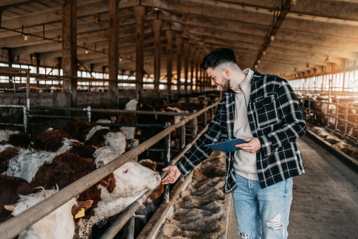 Dairy farming has struggled since war broke out in Ukraine