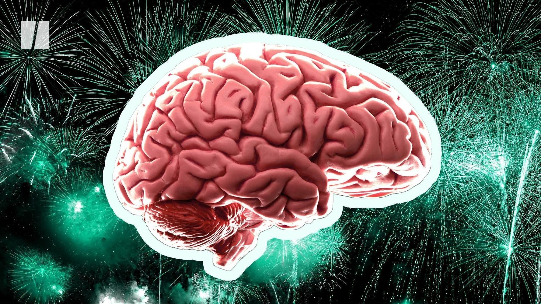 This Is What Happens To Your Brain When You Orgasm