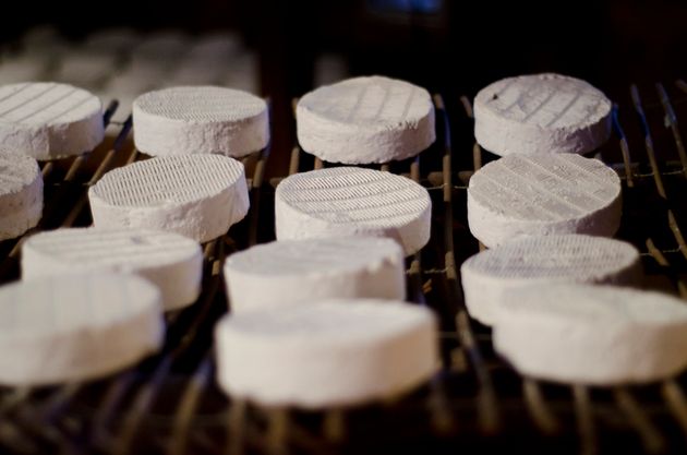 Des fromages bries et coulommiers de la marque Graindorge sont rappelés par le site gouvernemental...