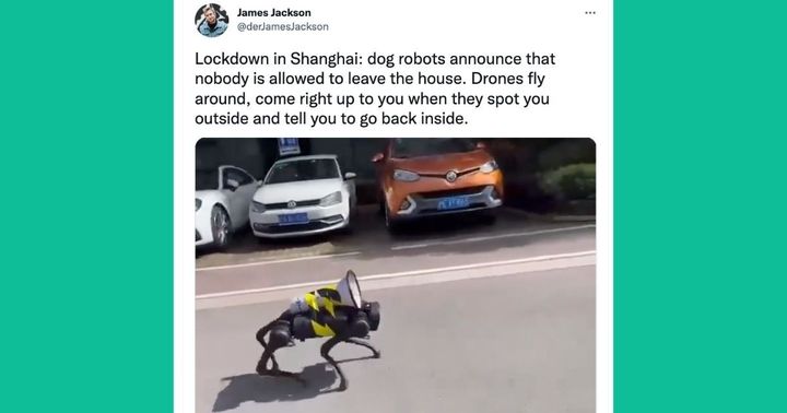 Videos of robotic dogs in Shanghai have been widely shared online
