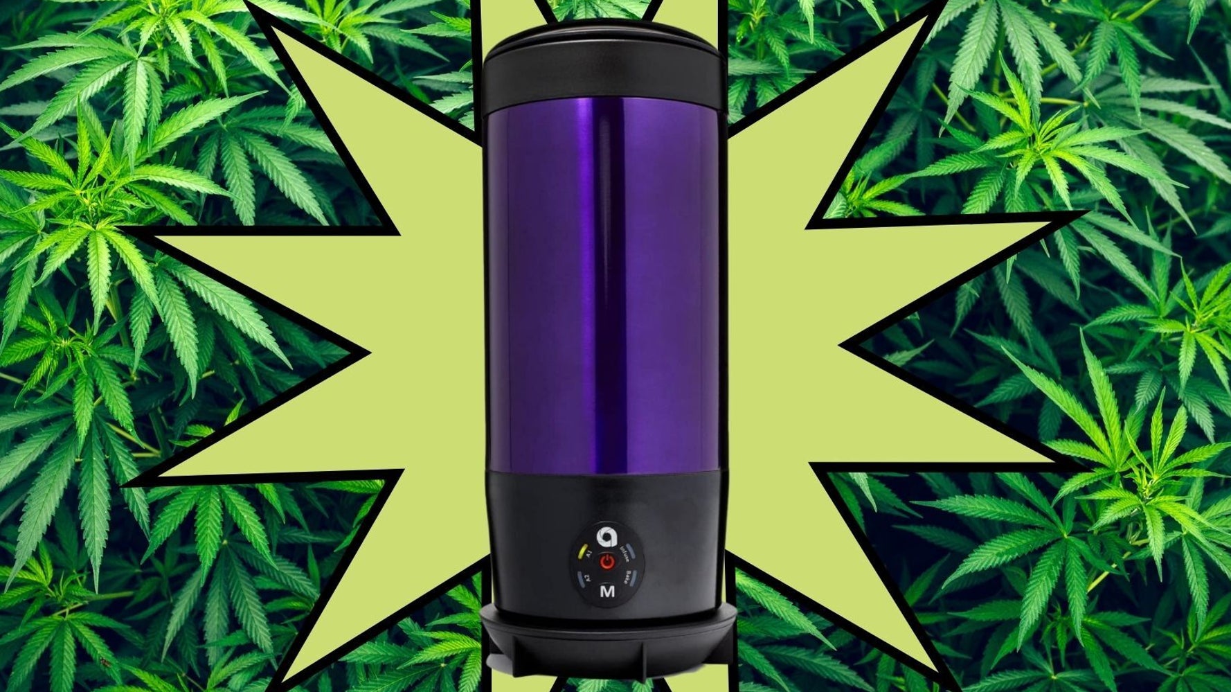 The One Kitchen Item You Need To Make Pot-Infused Edibles At Home