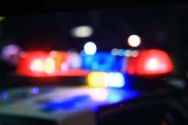 Michael Lelko, 45, will be formally charged with two felony counts of concealment of a death, said police.