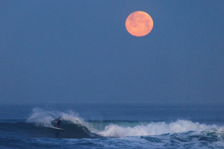 The moon sets into the Pacific Ocean as a surfer rides an early morning wave off the coast of Encinitas, California, U.S., March 17, 2022. REUTERS/Mike Blake