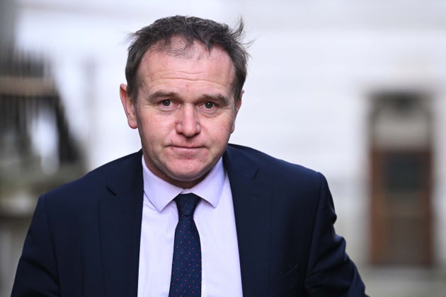 Environment secretary George Eustice did not explain 