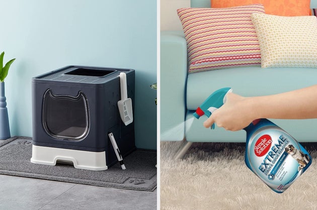 Pet parents, these are the must-haves you need to prevent nasty odours and pet-related mess