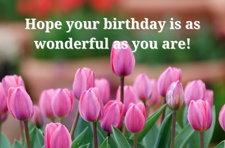 Send your friend this birthday wish, or share it with them on social media.