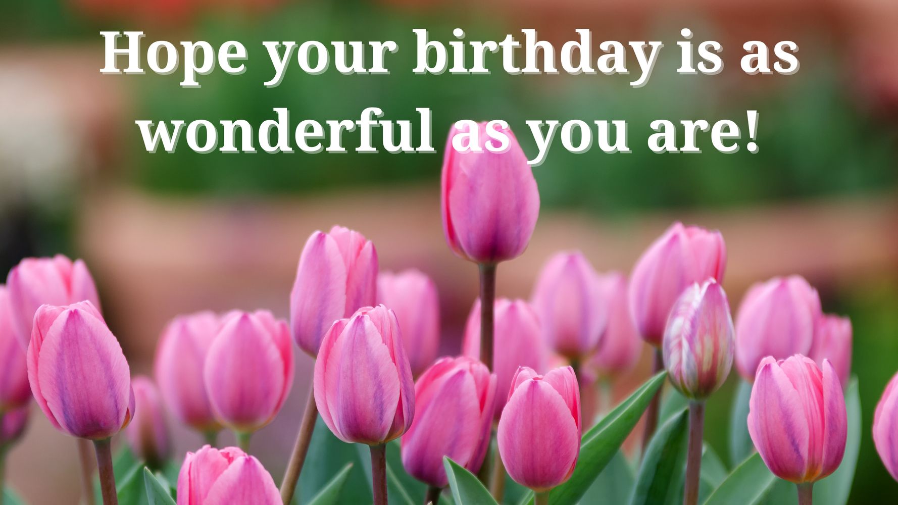 57 Birthday Wishes for Friends & Best Friend