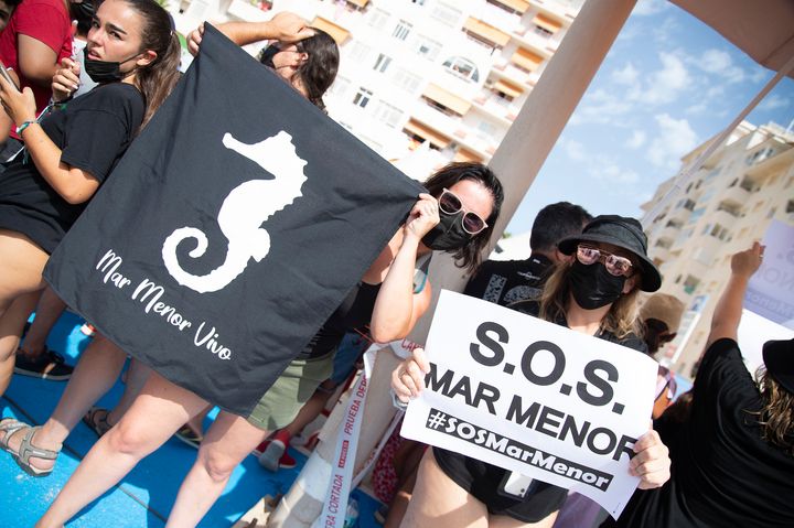 Manifestación a favor de la recuperación del Mar Menor.