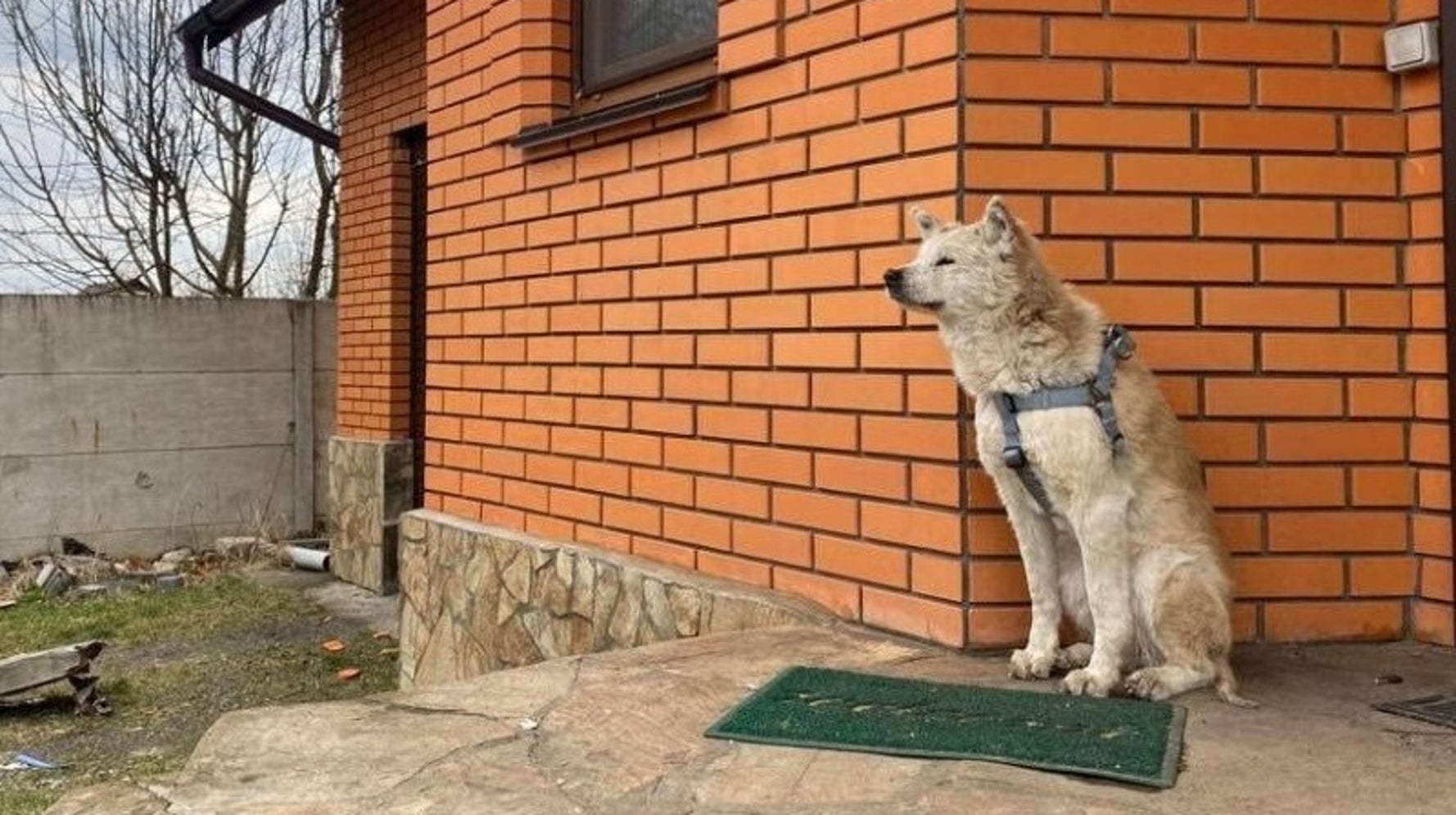 これはきっつい