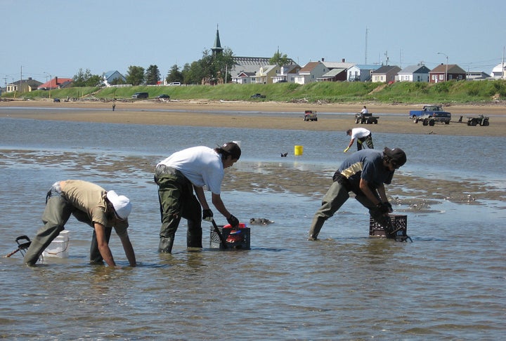 Innu teenagers gather clams on the shores of the St. Lawrence River in Betsiamites, Québec.