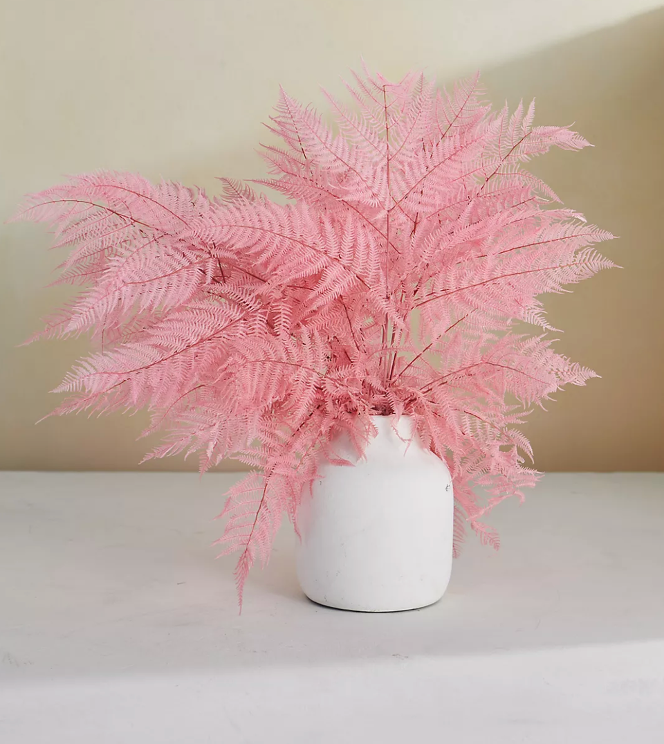 The Best Dried Flowers To Decorate Your Home HuffPost Life