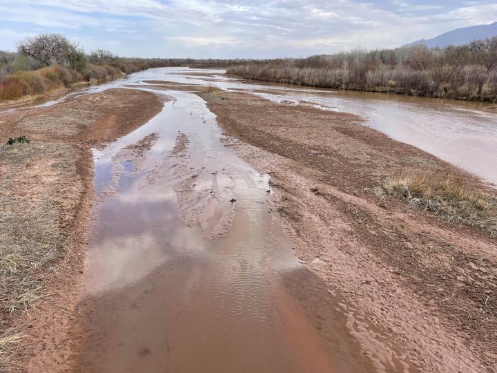This April 10, 2022, image shows a tumbleweed stuck in the mud along the Rio Grande in Albuquerque, N.M.