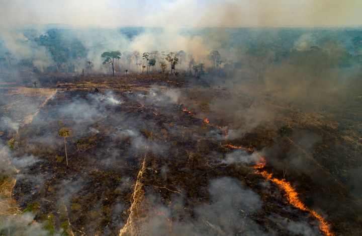 Fire rages in the Amazon rainforest in Pará, a state in northern Brazil. Rates of deforestation hit a 15-year high in 2021, thanks to the policies of right-wing President Jair Bolsonaro, who is seeking reelection in 2022.