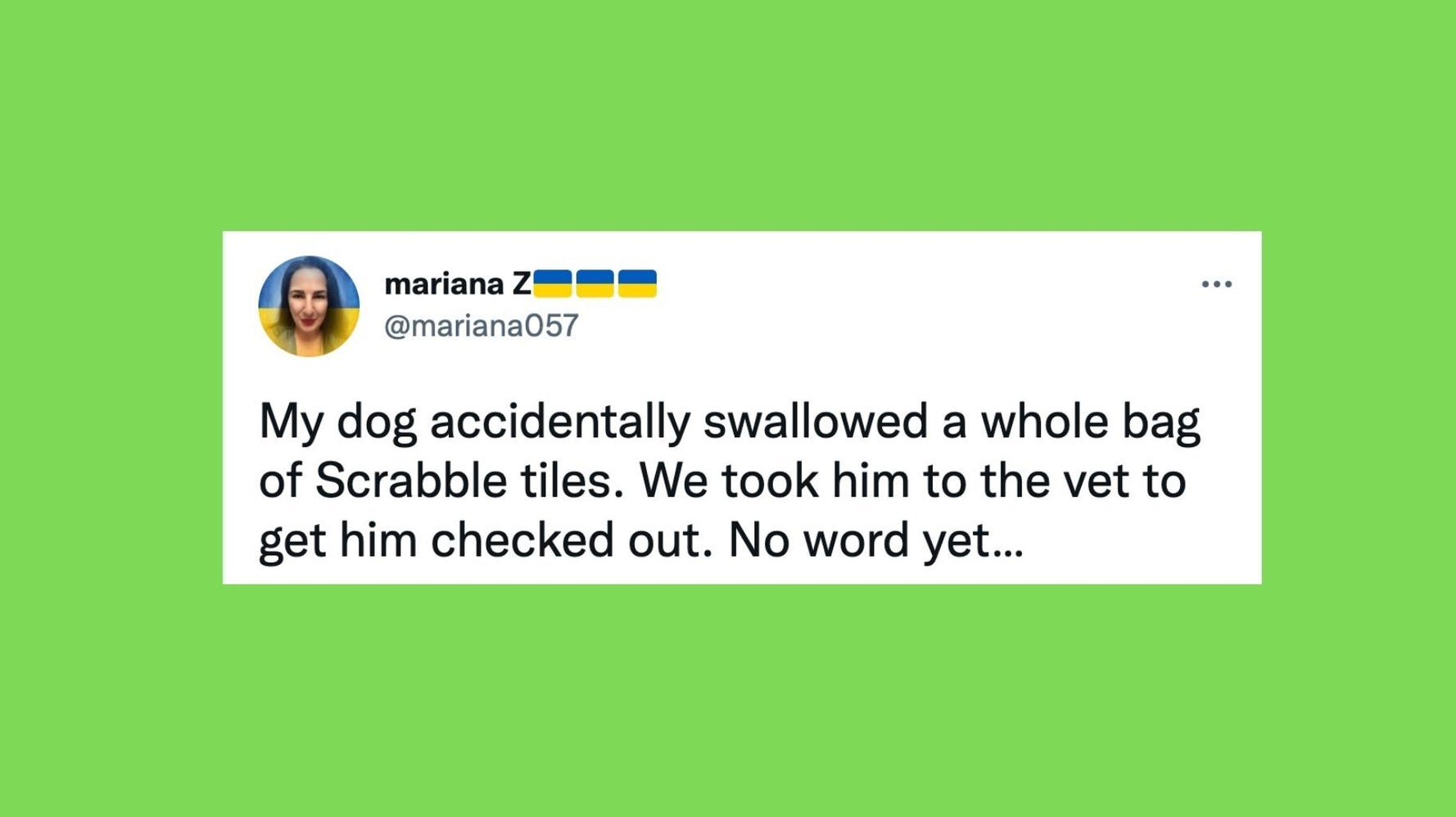 23 Of The Funniest Tweets About Dogs And Cats This Week