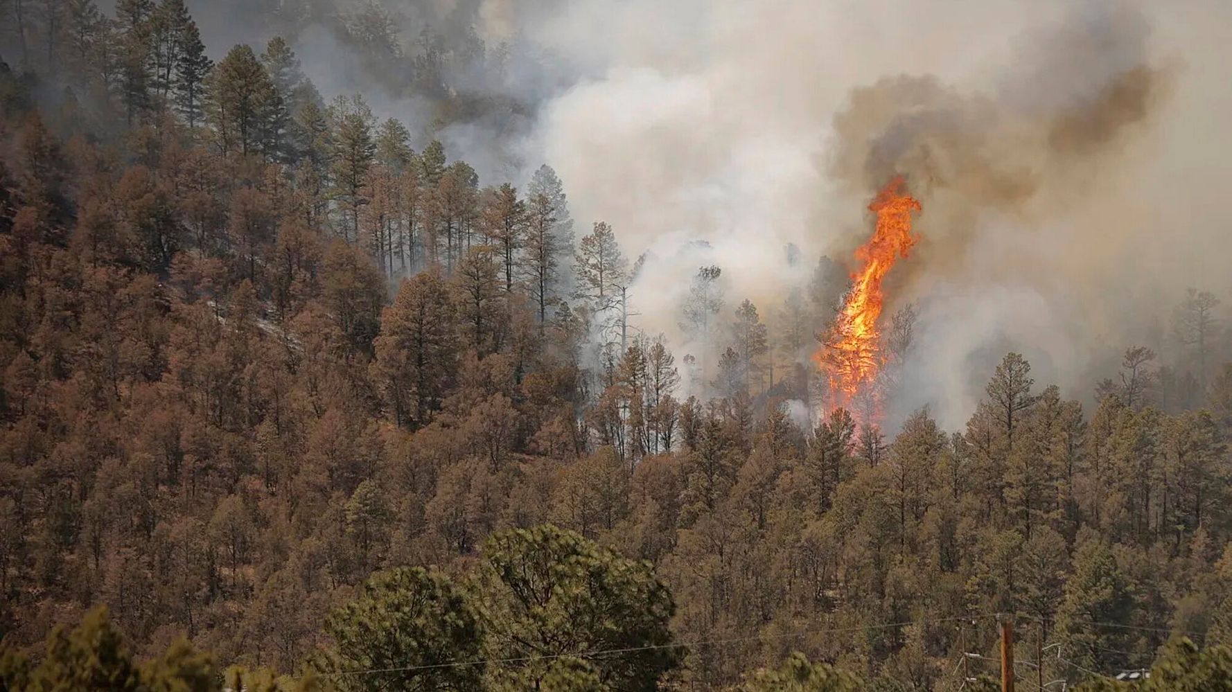 Какой дыму пожара. Лесные пожары в США 2022. Нью-Мексико штат Лесные пожары. Пожар леса. Лесной пожар арт.