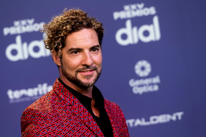 El cantante David Bisbal.