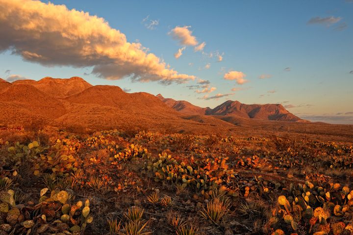 Castner Range, a former Army artillery training facility in West Texas, is largely off-limits to the public due to unexploded ordnance. Conservationists and other advocates are pushing to protect cultural and historical sites and increase access to hiking and other outdoor recreation.