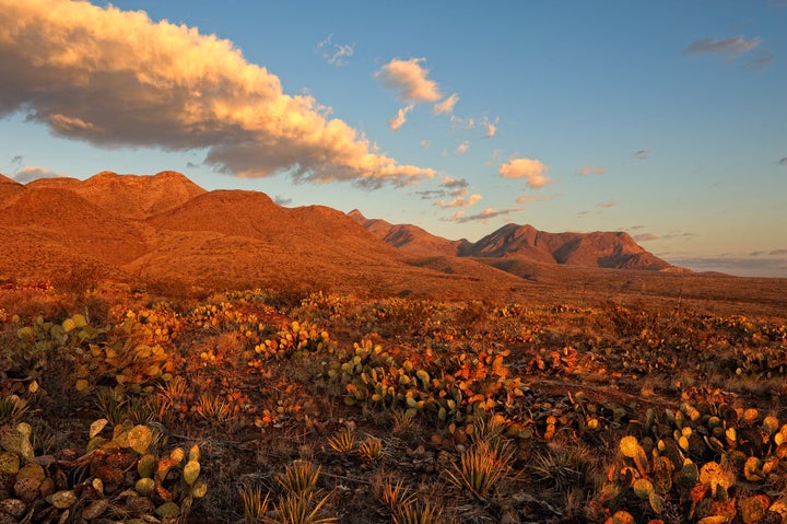 Castner Range, a former Army artillery training facility in West Texas, is home to archaeological sites and a diversity of rare and at-risk wildlife, but is off-limits to the public due to unexploded ordnance.