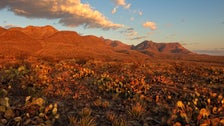 Biden Under Pressure From Green Groups To Designate His First National Monument