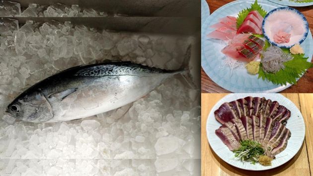 左：未利用魚「ソウダガツオ」、右上：ソウダガツオを使った未利用魚の刺し盛り、右下：ソウダガツオのたたき