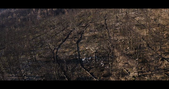 Όπως τονίζουν στο ντοκιμαντέρ «Μετά τη φωτιά» οι δασολόγοι που ανέλαβαν τον σχεδιασμό του έργου, το πρώτο απολύτως αναγκαίο βήμα ήταν τα αντιδιαβρωτικά έργα, προκειμένου να σταθεροποιηθεί το έδαφος στην περιοχή του δάσους Βαρυμπόμπης - Τατοϊου.