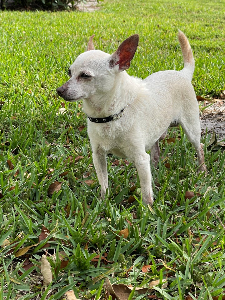 Tobikit likes to go out.