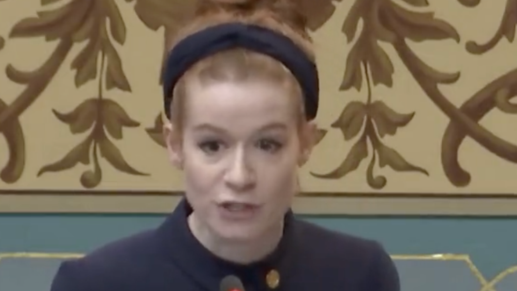 Michigan State Senator Delivers Fiery Rebuke After Colleague Accuses Her Of ‘Grooming’ Kids