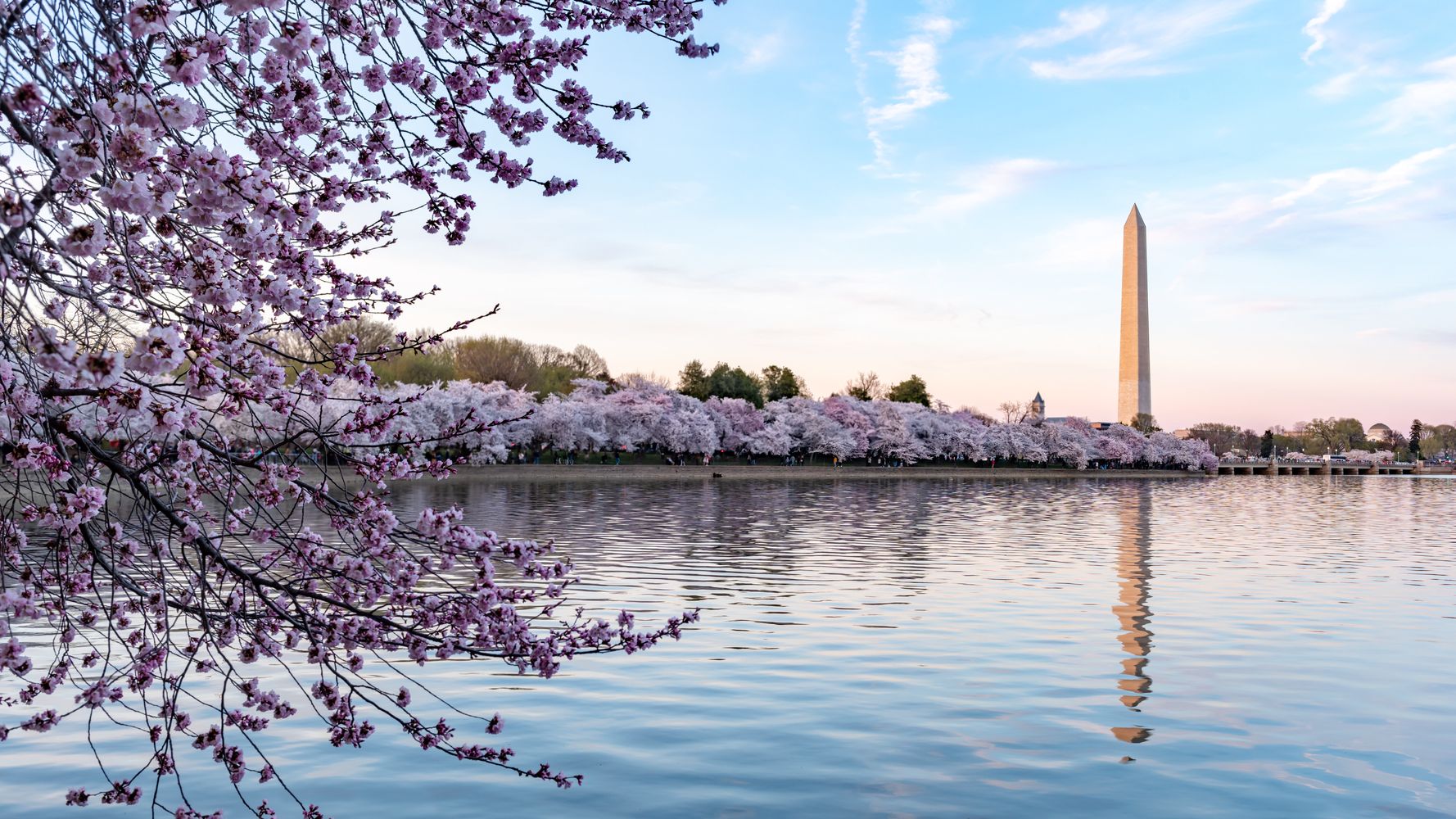 17 Mistakes Tourists Make While Visiting Washington, D.C.