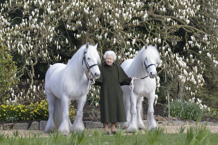 A new portrait of Queen Elizabeth II released by The Royal Windsor Horse Show to mark the occasion of her 96th birthday. 