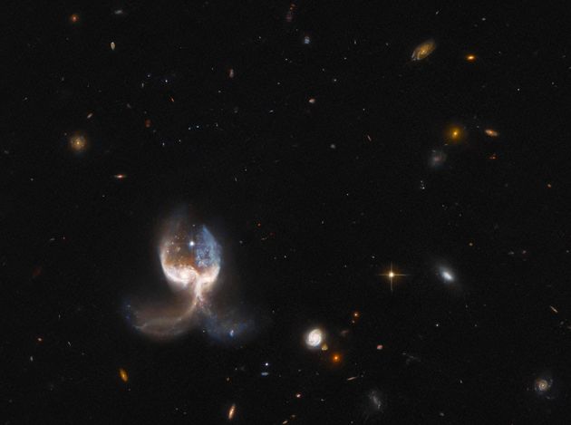 Deux galaxies en fusion dans le système VV689, surnommé l'Aile d'ange, sont visibles sur...
