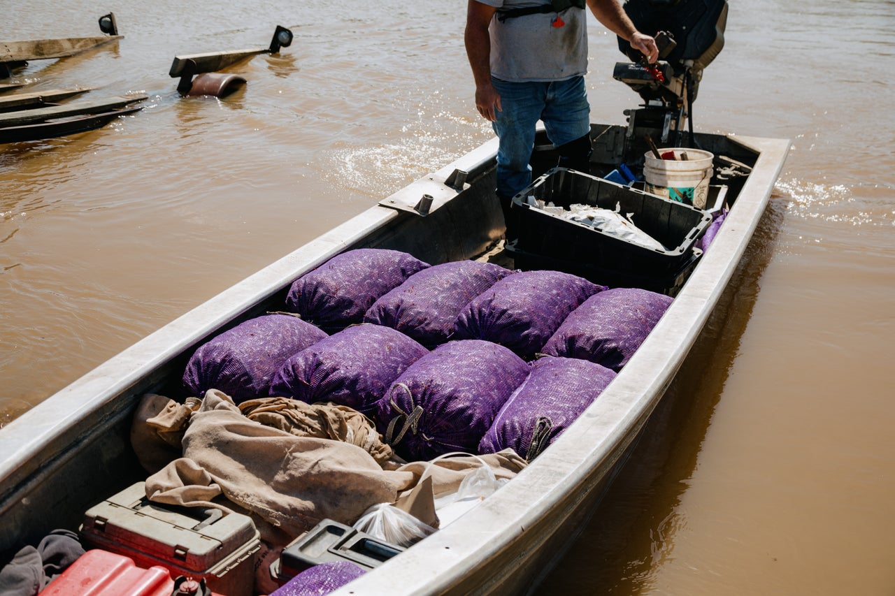 Meche's daily catch is less than half of what it once was due to declining water quality in the basin.