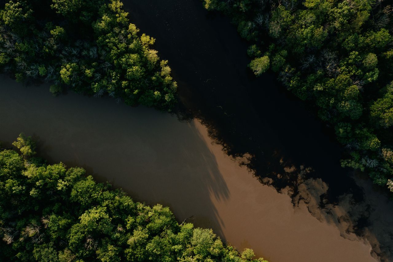 Sediment from the Atchafalaya River flows into Bayou Sorrel from a distributary of the river.
