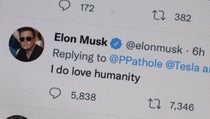This Is What Twitter Really Thinks About Elon Musk Buying ...