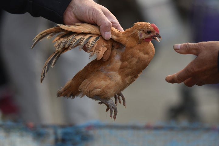 Una compraventa de una gallina en el mercado de Fuyang, en la provincia china de Anhui.