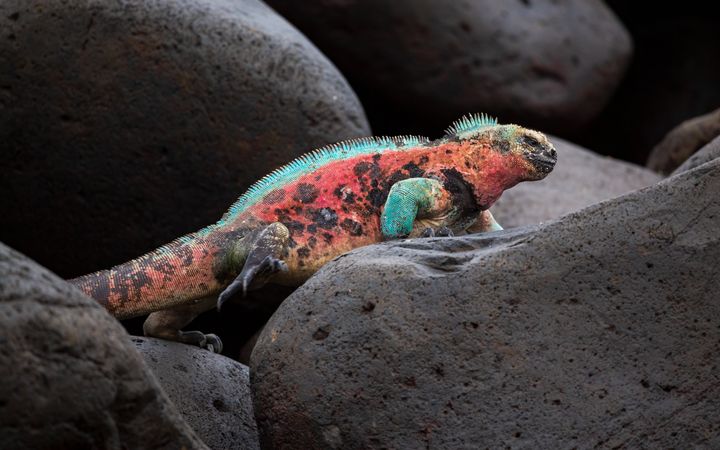 Photo taken in Galápagos, Ecuador