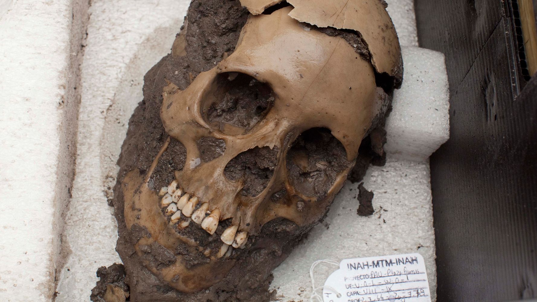 'Crime Scene' Skulls Turn Out To Be Hundreds Of Years Old