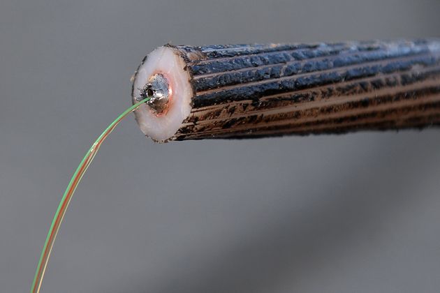 Un câble de fibre optique internet en France en mars 2016 (photo