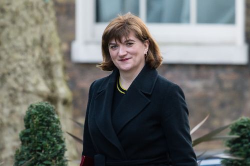 Girls Do Porn Nicky - Tory Peer Nicky Morgan Says Porn MP Should Be Expelled 'As A Minimum' |  HuffPost UK Politics