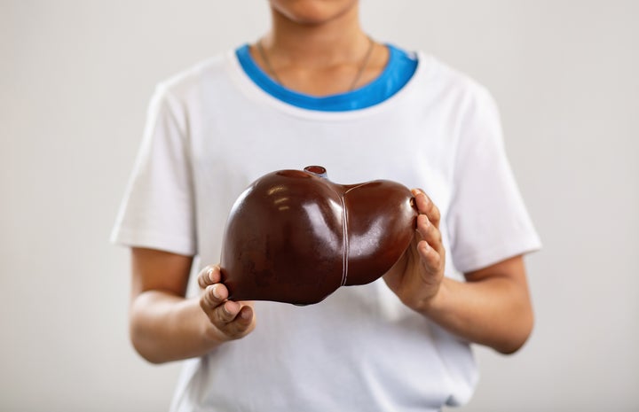 Imagen de archivo de un niño sosteniendo un modelo de un hígado.