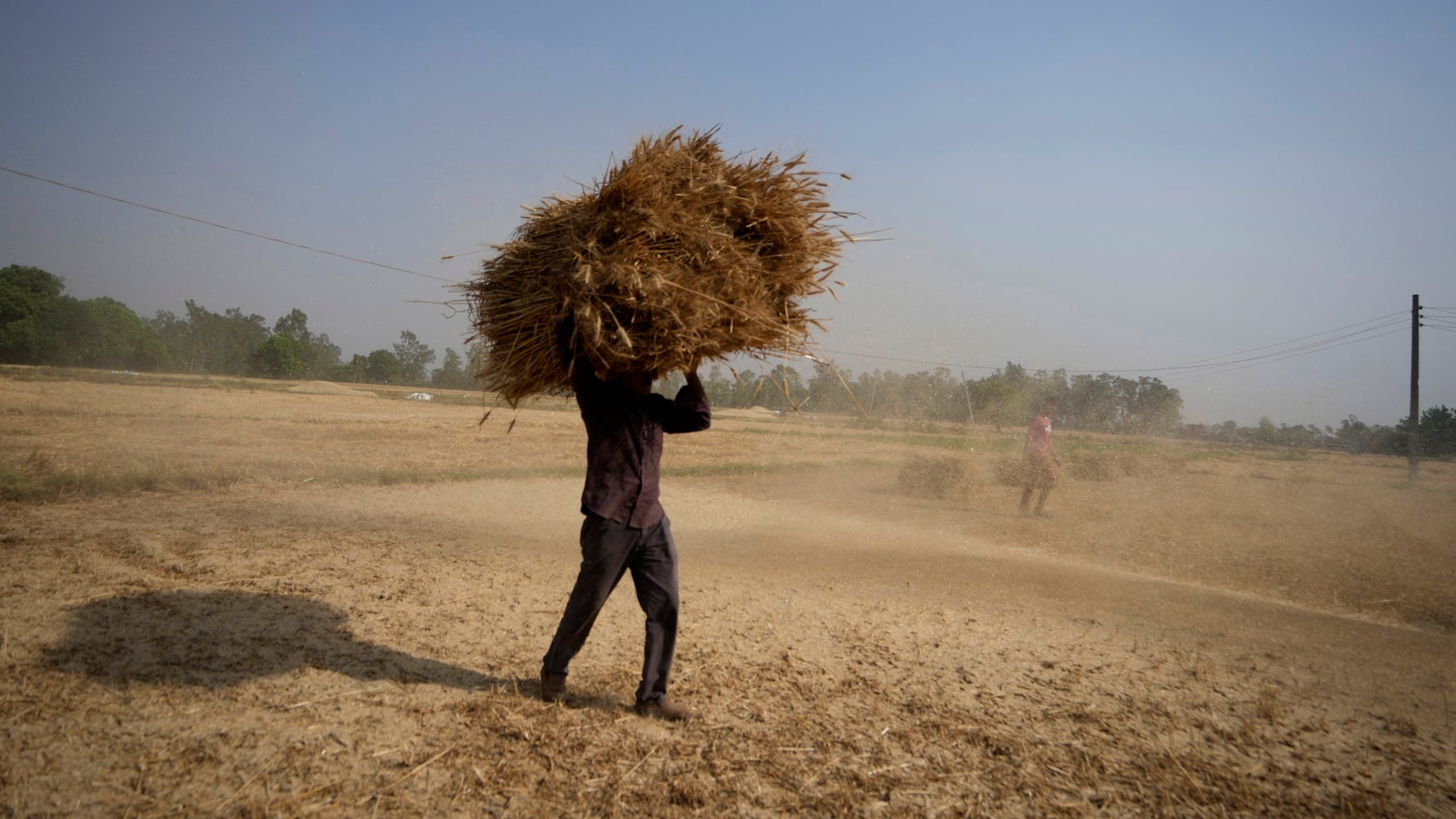 Record-Shattering India Heat Wave Scorches Wheat Crop As Reserves Are Strained - Vimarsana News